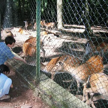 Bianca San Giovanni Rotondo