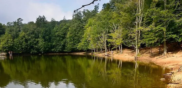 호텔 Bianca 산 조반니 로톤도